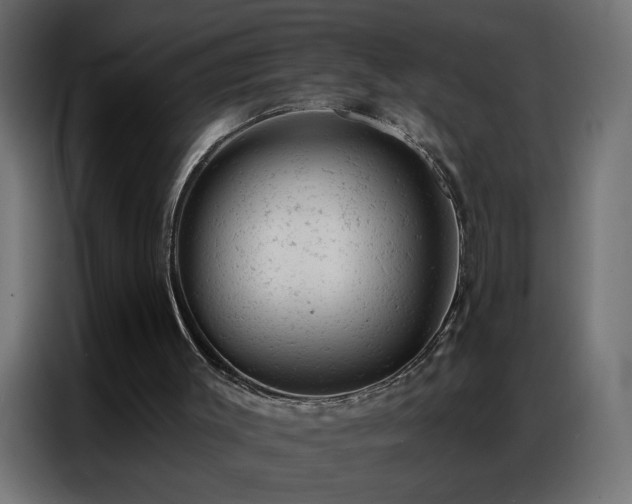 X0000087000003200704161532