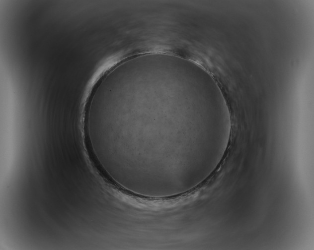 X0000087000006200704161532