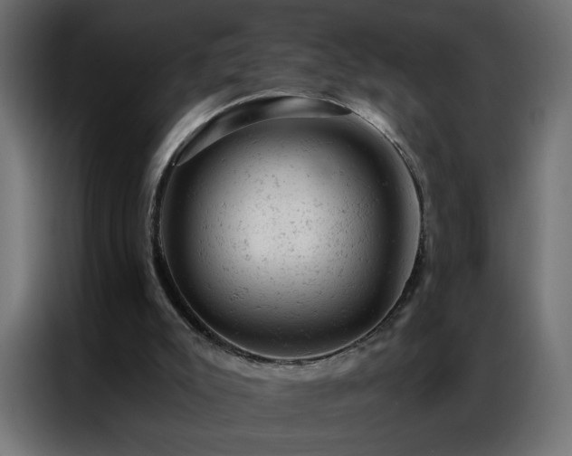 X0000087000007200704161532