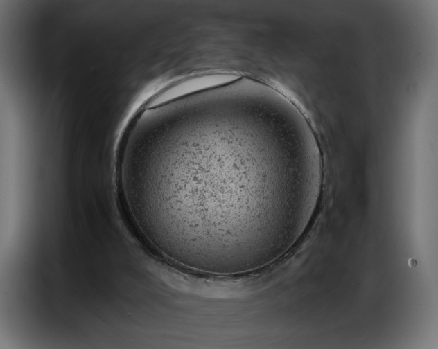X0000087000008200704161532
