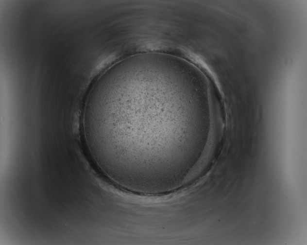 X0000087000010200704161532