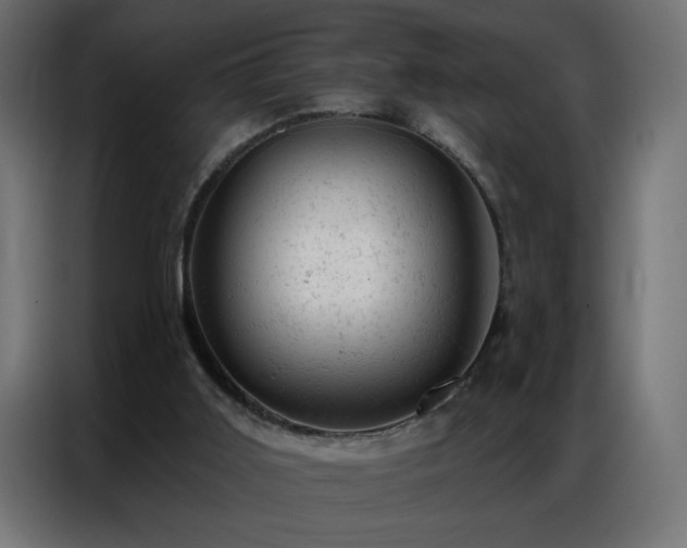X0000087000011200704161532