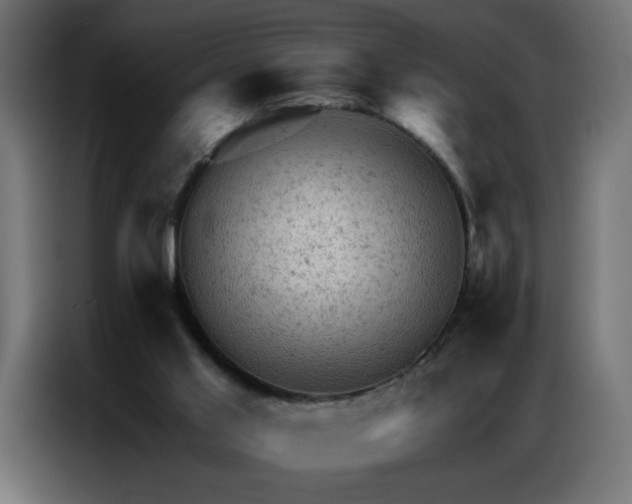 X0000087000013200704161532