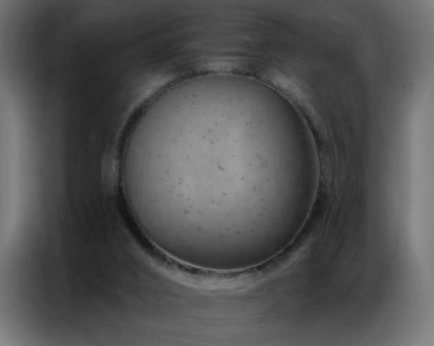 X0000087000016200704161532