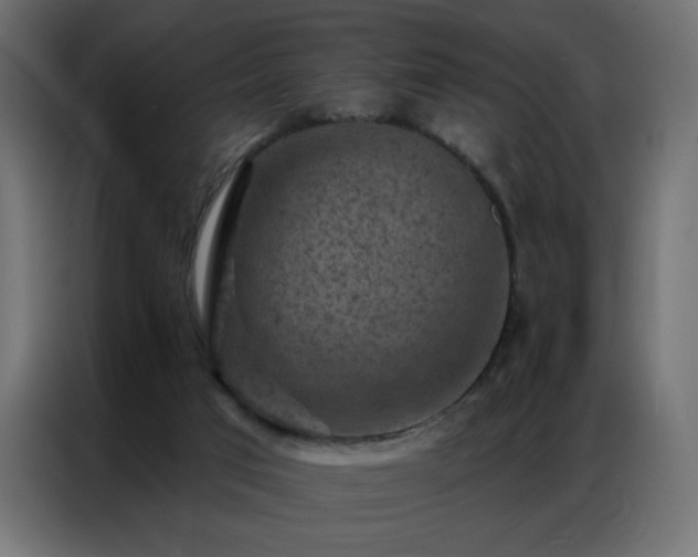 X0000087000017200704161532