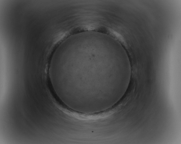 X0000087000018200704161532