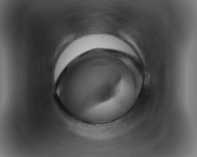 X0000087000019200704161532