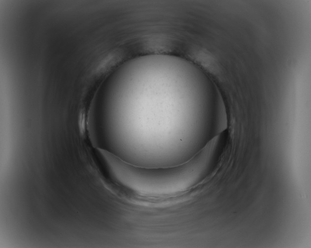 X0000087000021200704161532