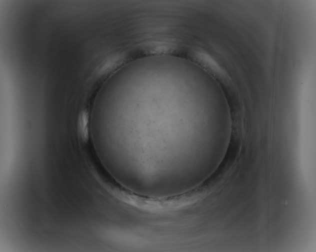 X0000087000022200704161532