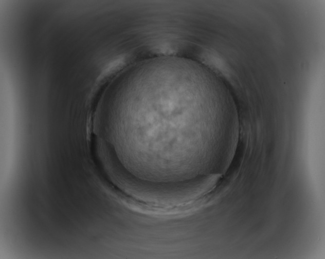 X0000087000023200704161532
