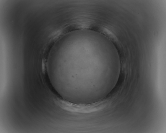 X0000087000026200704161532