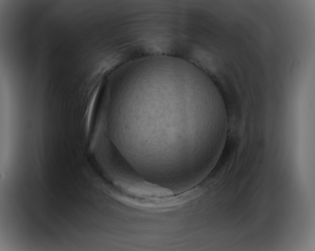X0000087000027200704161532