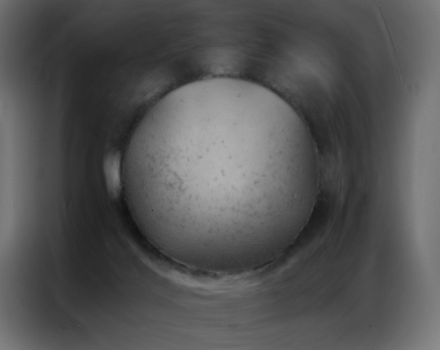 X0000087000028200704161532