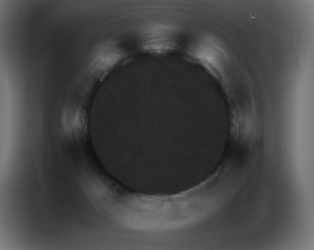 X0000087000029200704161532