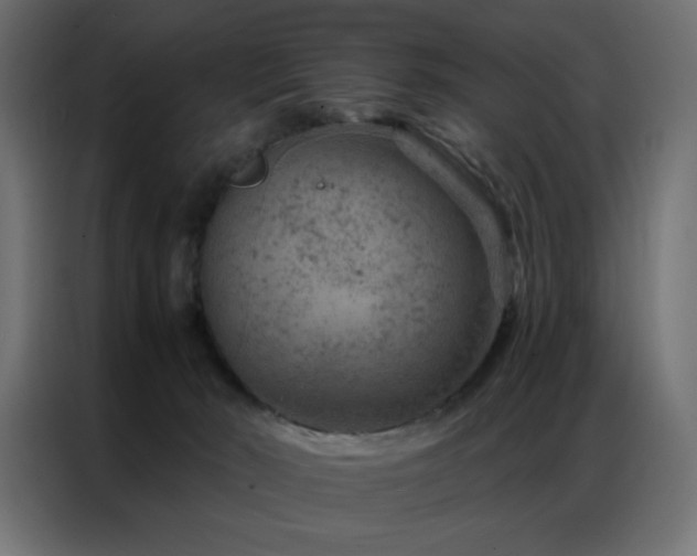 X0000087000030200704161532