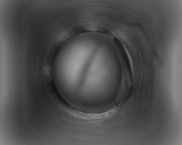 X0000087000031200704161532