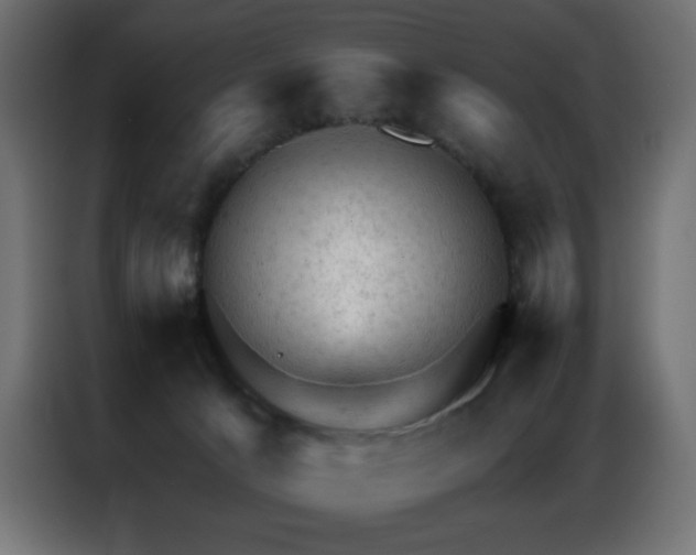X0000087000033200704161532