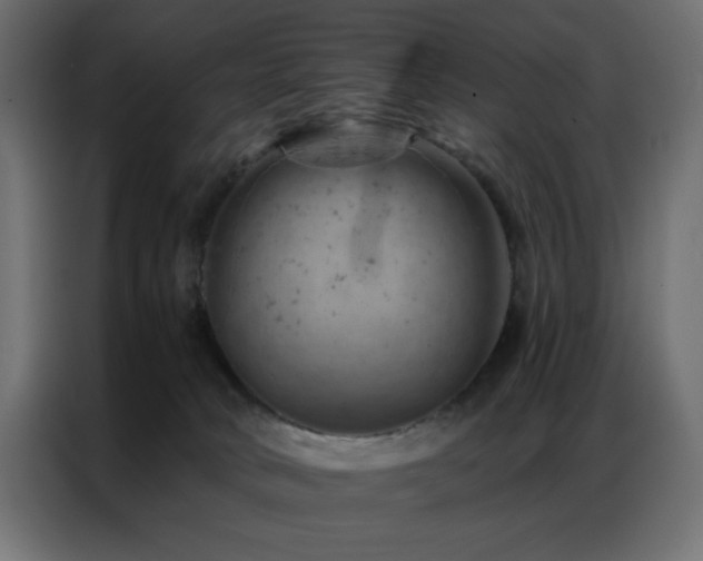 X0000087000034200704161532