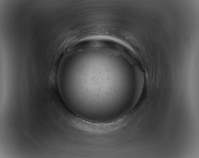 X0000087000035200704161532