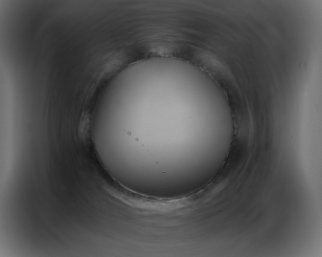 X0000087000036200704161532