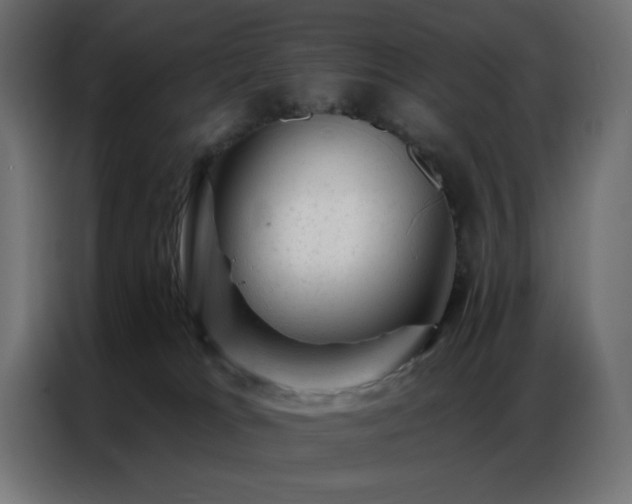 X0000087000037200704161532