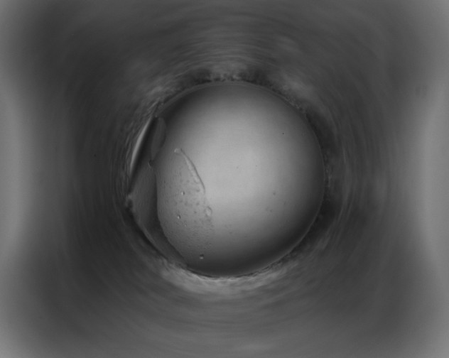 X0000087000038200704161532