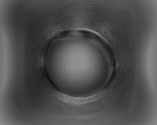 X0000087000039200704161532