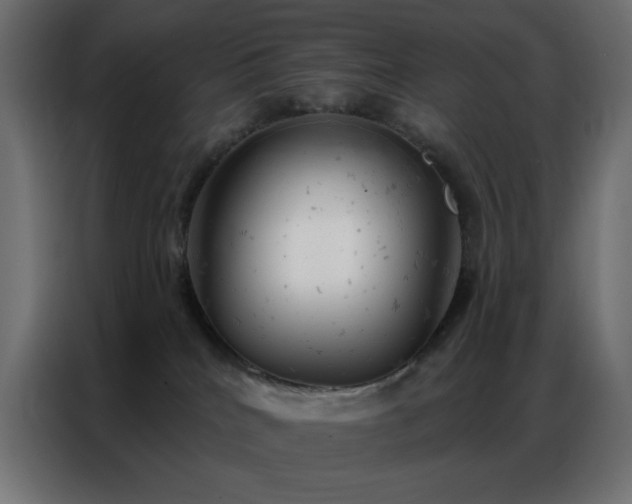 X0000087000040200704161532