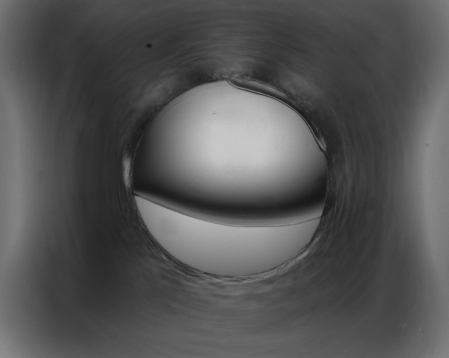 X0000087000041200704161532