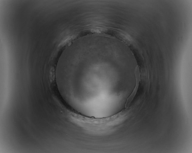 X0000087000043200704161532