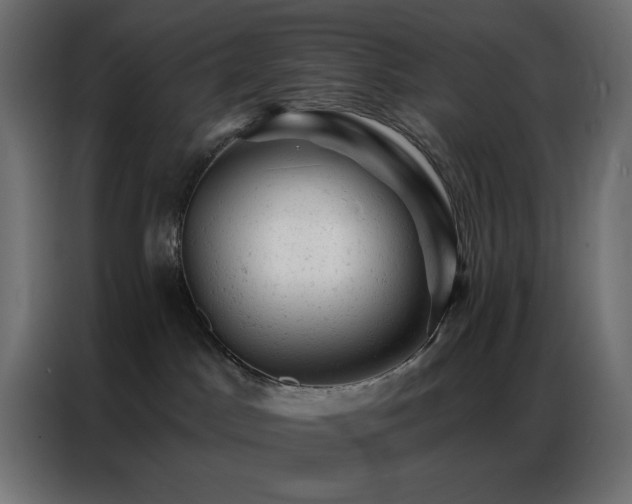 X0000087000045200704161532