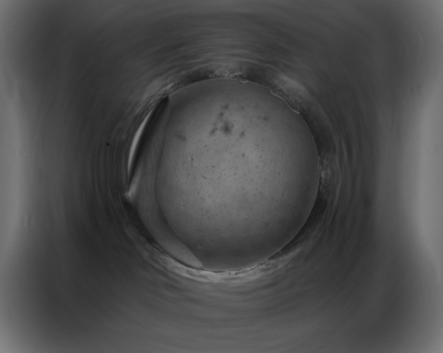 X0000087000046200704161531
