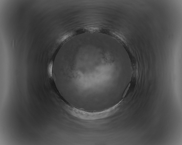 X0000087000047200704161531