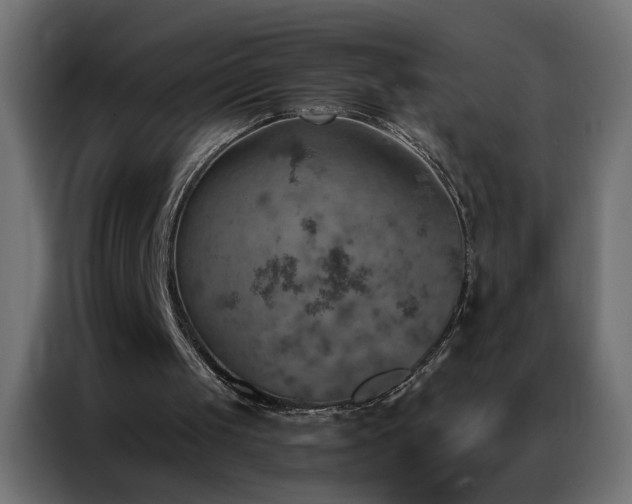 X0000087000049200704161531