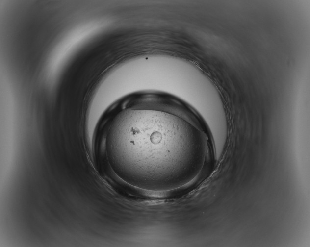 X0000087000052200704161531