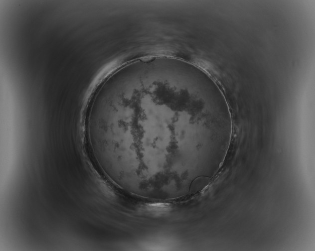 X0000087000053200704161531