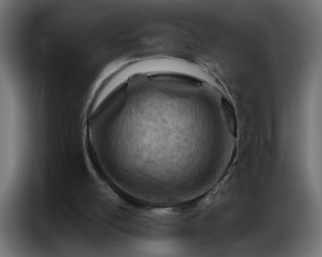 X0000087000054200704161531
