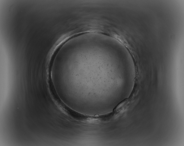 X0000087000055200704161531