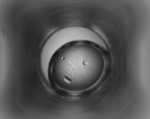 X0000087000058200704161531