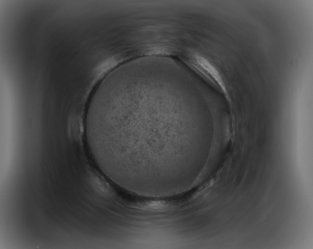 X0000087000059200704161531
