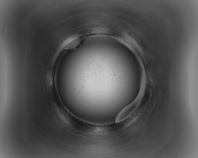 X0000087000060200704161531