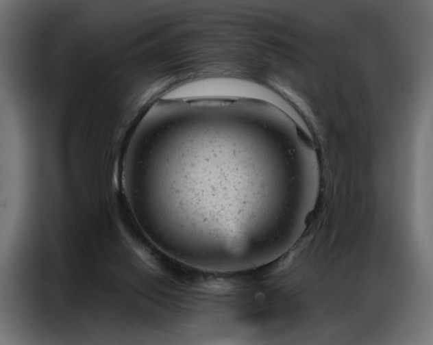 X0000087000062200704161531