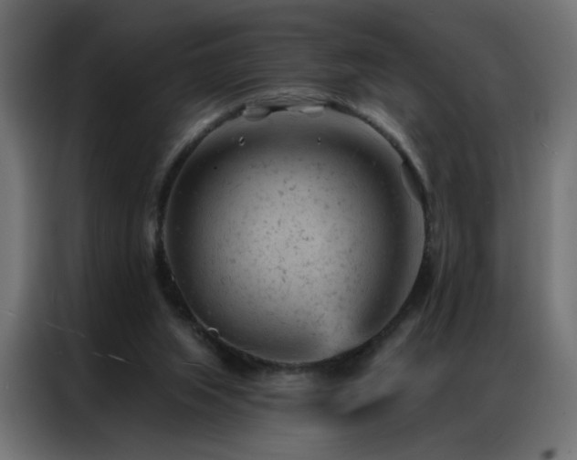 X0000087000063200704161531