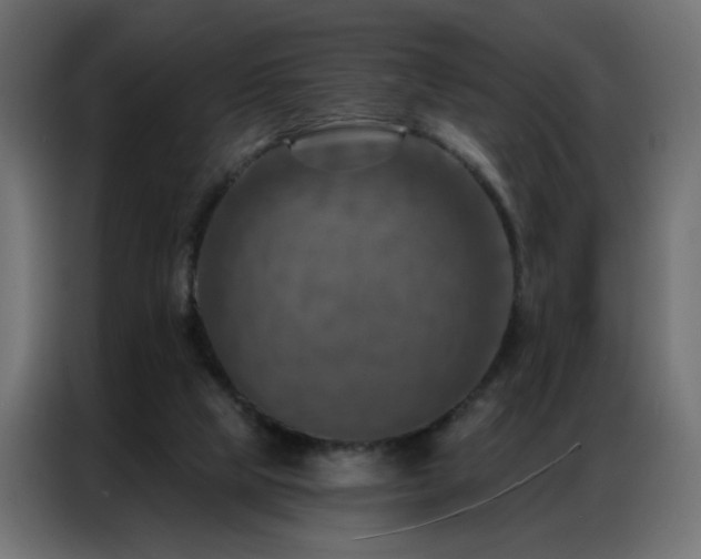 X0000087000065200704161531