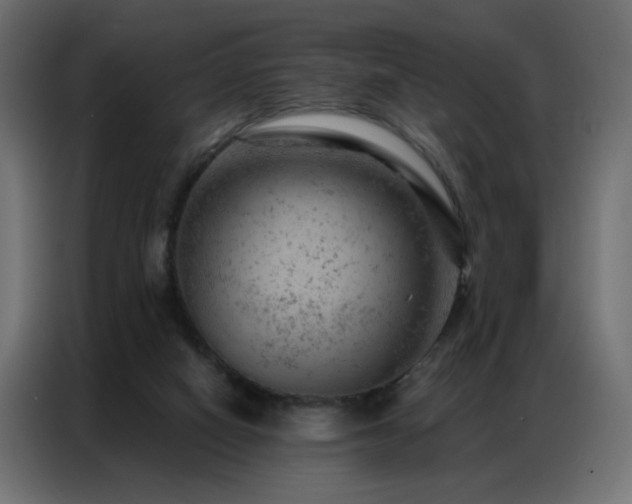 X0000087000066200704161531