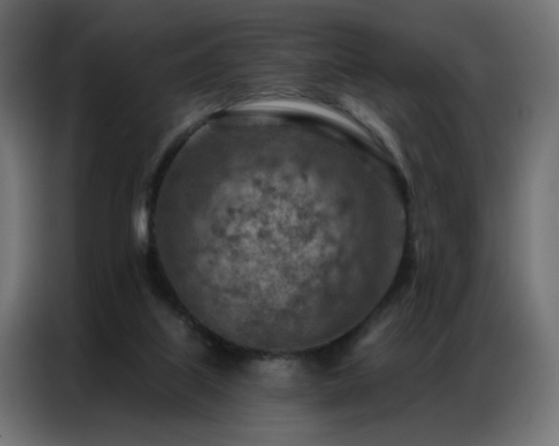 X0000087000067200704161531