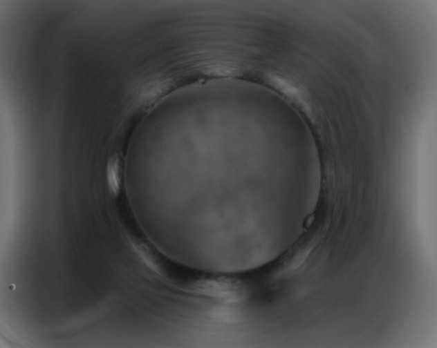 X0000087000069200704161531