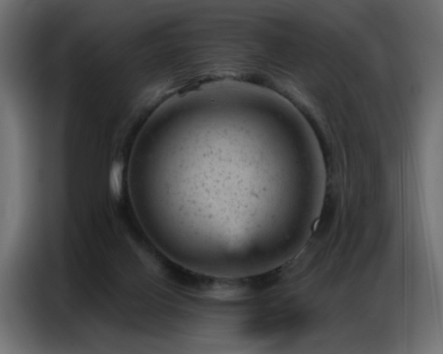 X0000087000070200704161531