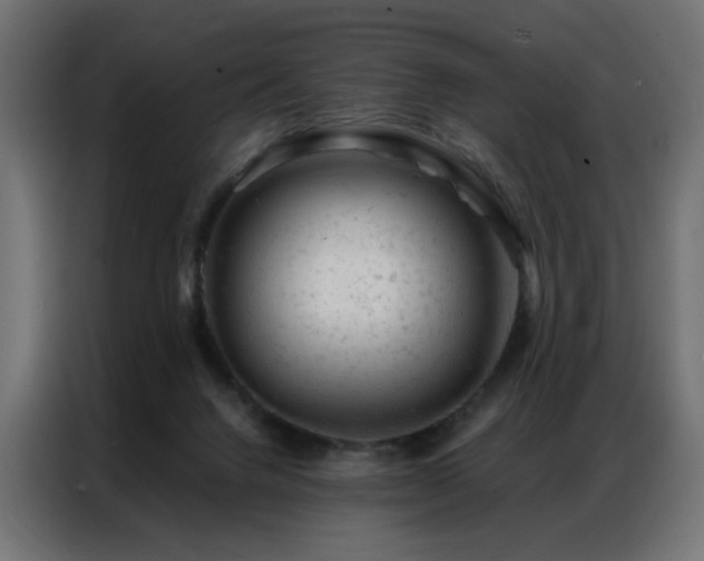 X0000087000072200704161531