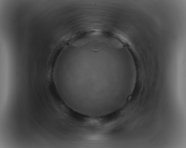 X0000087000073200704161531